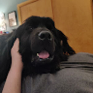 Meet your Posher, Mike